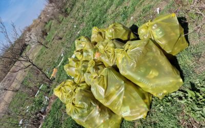 Campanie de ecologizare în comuna Botoroaga